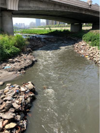 哈尔滨市区有多少人口_阳江市区有多少人口(2)