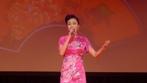 袁媛表演黃梅戲選段