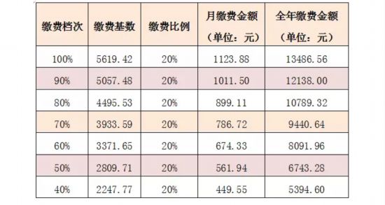 缴费人口_医院缴费单图片(2)