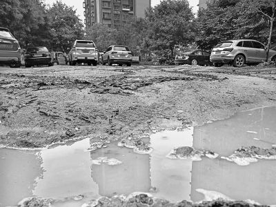 乱停车毁了小区绿地 雨天草坪变泥塘