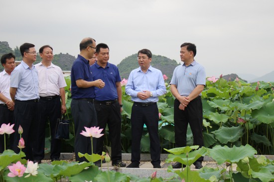 柳州市市长吴炜深入鹿寨县调研美丽乡村建设工作