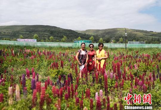 甘肃和政花主意:春夏赏花游绿 秋冬观景玩雪