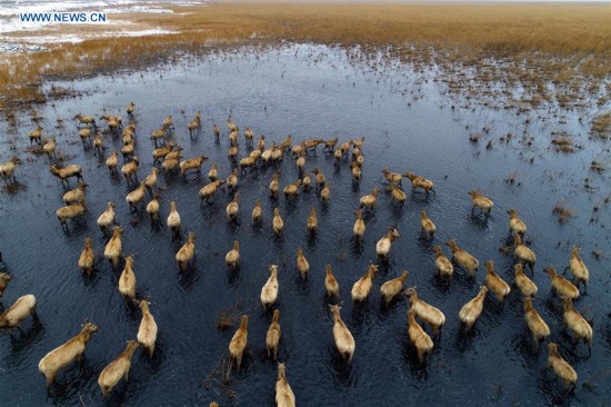 #CHINA-WETLAND PROTECTION (CN)