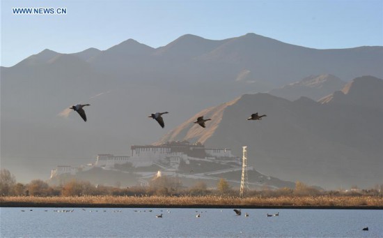 CHINA-WETLAND PROTECTION (CN)