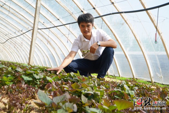 迁西小伙回乡创业:创业是件有趣的事(图)