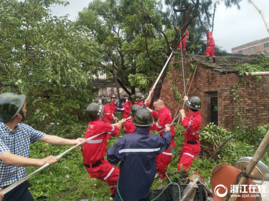 苍南干部群众 共同抗击玛莉亚台风