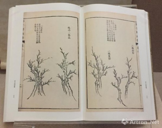 《芥子园画谱》中树的画法