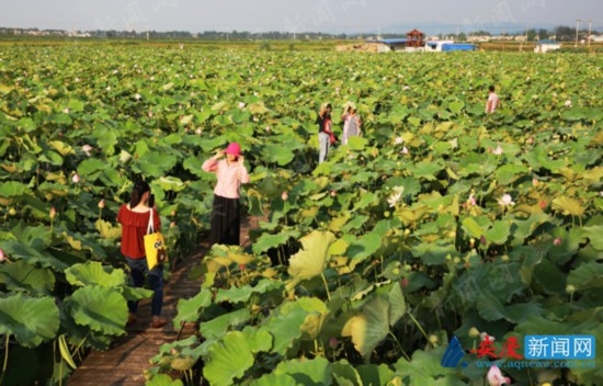 望江县乡村旅游助推乡村振兴