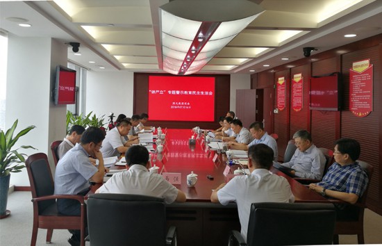 国元集团召开党员领导班子讲严立专题警示教