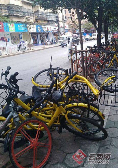 昆明共享单车管理办法出台:8月起不再接受新运