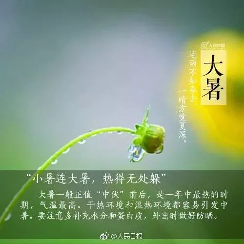 日课大暑|莲叶无穷碧，荷花别样红