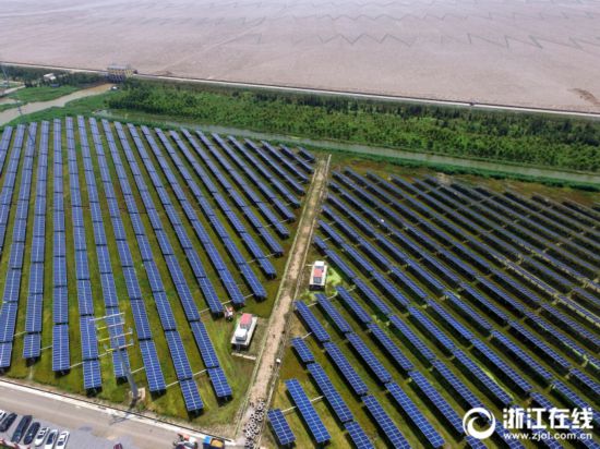 乐清:光伏板下割早稻