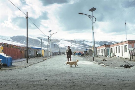 万玛才旦新作《撞死了一只羊》入围威尼斯电影