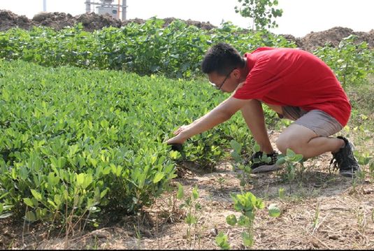 山东政法学院开展暑期社会实践活动