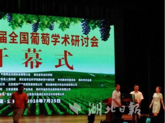 刘军演员_刘军收入2000元