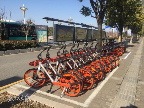 摩拜单车投放盐城市区 市民可享无门槛免押金