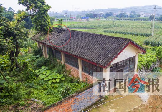 养虫室落选历史建筑名单曾见证战时农都辉煌