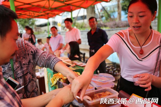 陕西镇平有多少人口_陕西美食图片