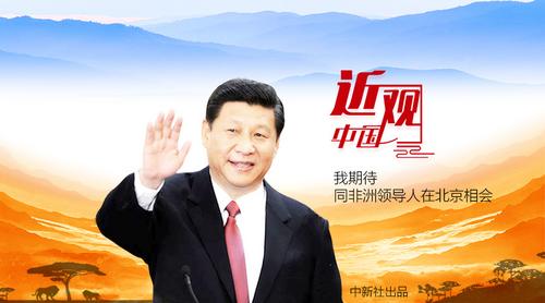 習近平非洲腳步促“龍獅共舞”