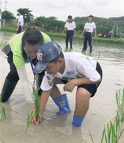 陵水开展暑期研学旅行活动,组织学生走进大自