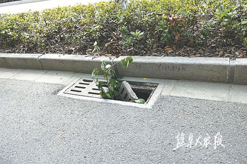 盐渎路窨井盖破损 盐城市民路过需留意