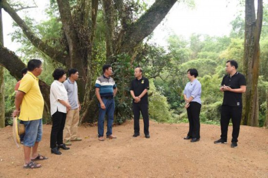 广西频道 专题视窗 宁明视窗    8月14日,宁明县委书记刘勇到亭亮镇梅