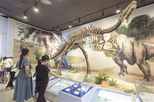 恐龙木乃伊亮相南宁 市民可前往广西自然博物