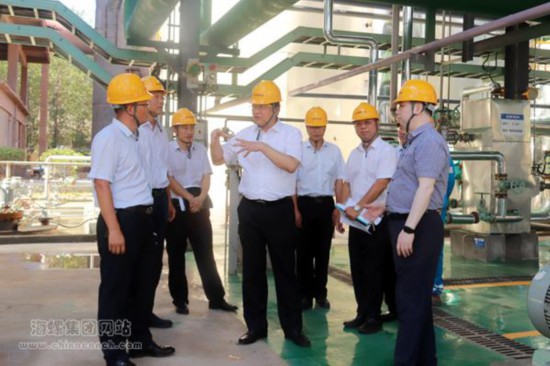 海螺集团董事长高登榜到白马山水泥厂调研环保