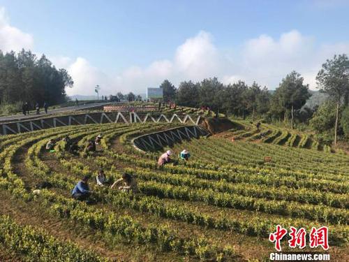 點擊進入下一頁
