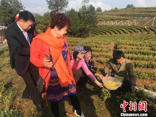 點擊進入下一頁