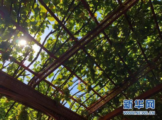 翦䣺Ļ¸