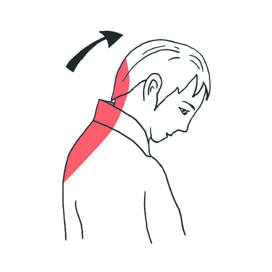 【健康动起来】工间的拉伸放松操