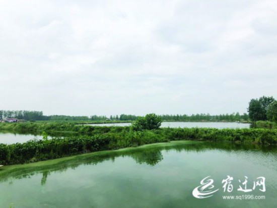 宿迁:让集体家底厚起来 让农民口袋鼓起来