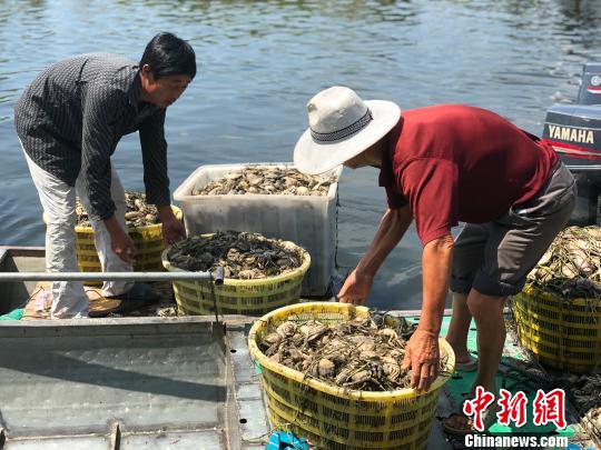 污水过境洪泽湖蟹塘受损 江苏环保厅紧急响应
