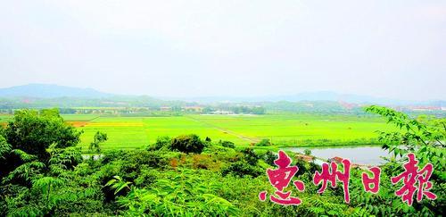 惠州:年度新增建设用地指标4成以上要用于工业