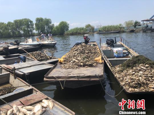 洪泽湖污水来源调查:与上游安徽两县观感一致
