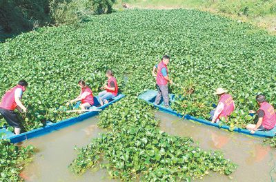 浙江湖州：居民代表 巡河治水