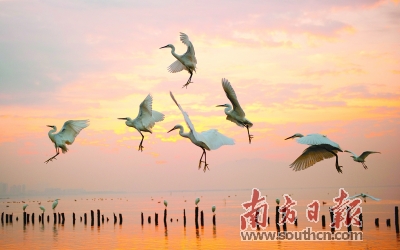 深圳：中國最“擁擠”城市，走出特色創森路
