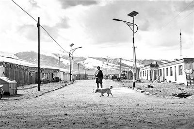 《撞死了一只羊》入围威尼斯电影节地平线竞