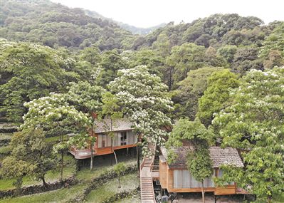 广东省民宿管理办法首次明确民宿登记备案管理