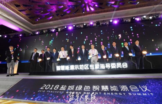 大咖云集!盐城打造绿色智慧能源世界级平台