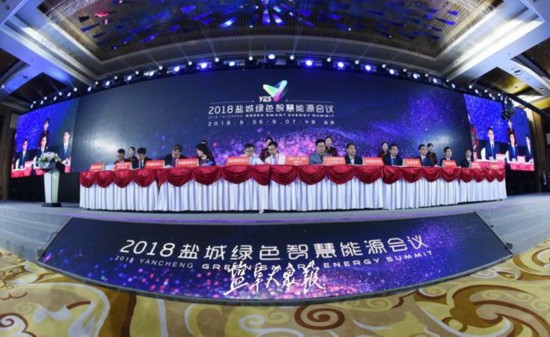 大咖云集!盐城打造绿色智慧能源世界级平台