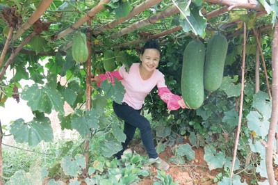 巧妇9妹:一位网红80后的乡村振兴梦