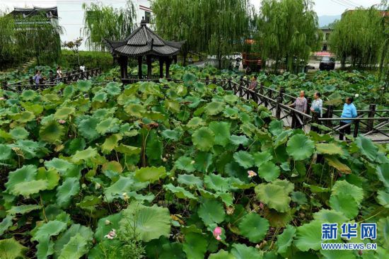 （社會）（2）福建邵武：黨建引領 脫貧致富