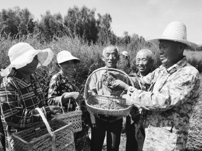 玉叶村人口_福旺镇玉叶村森木屯(2)