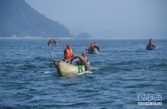 (环境)(6)千岛湖“公益船队”共护“一湖碧水”