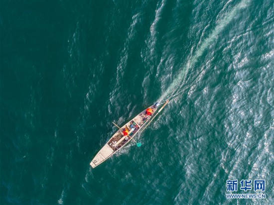 (环境)(8)千岛湖“公益船队”共护“一湖碧水”
