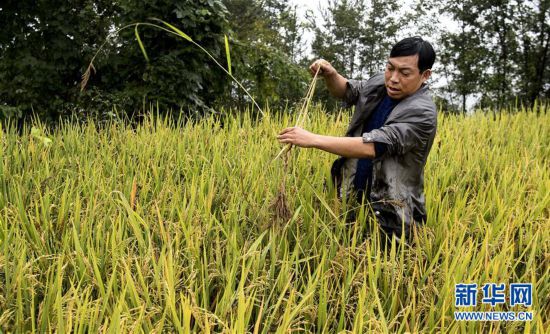 贫困户杨修华:扶志引发的蜕变