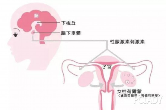 躲过了青春痘,却没逃得了姨妈痘