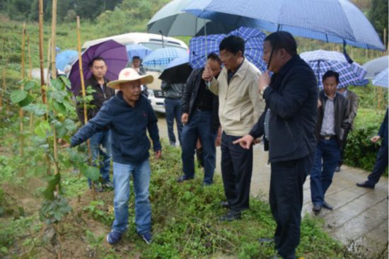 安顺市人大常委会《贵州省大扶贫条例》执法检